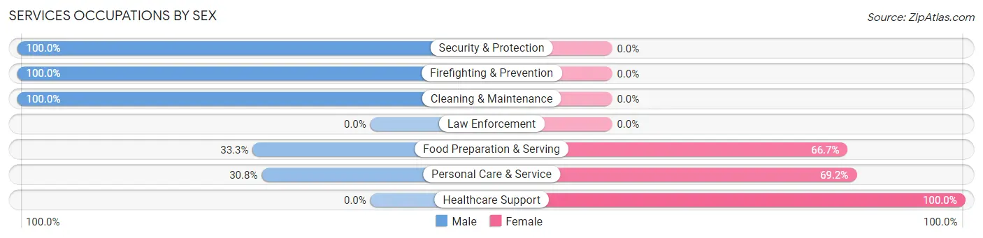 Services Occupations by Sex in Zip Code 56363