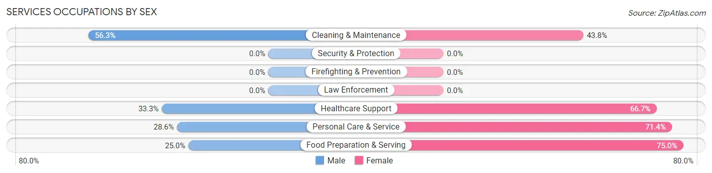 Services Occupations by Sex in Zip Code 56385