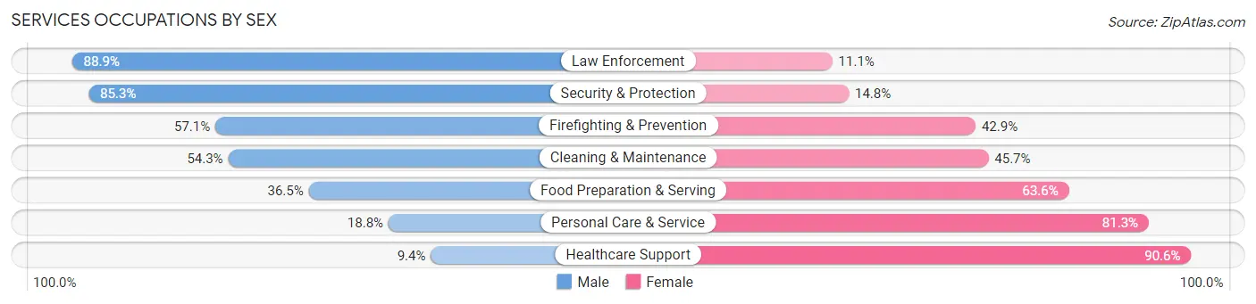 Services Occupations by Sex in Zip Code 56431