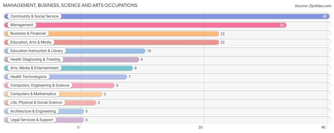 Management, Business, Science and Arts Occupations in Zip Code 56450