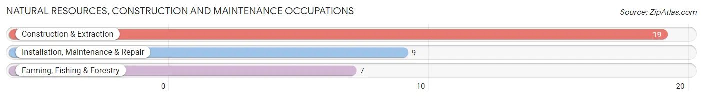 Natural Resources, Construction and Maintenance Occupations in Zip Code 56469