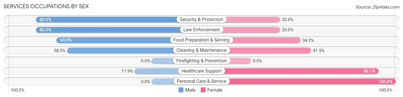 Services Occupations by Sex in Zip Code 56515