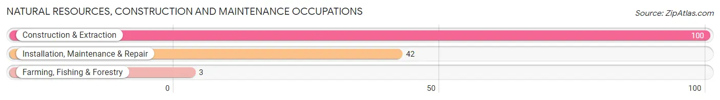 Natural Resources, Construction and Maintenance Occupations in Zip Code 56528