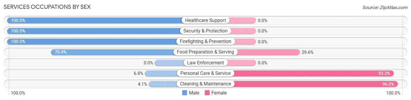 Services Occupations by Sex in Zip Code 56562