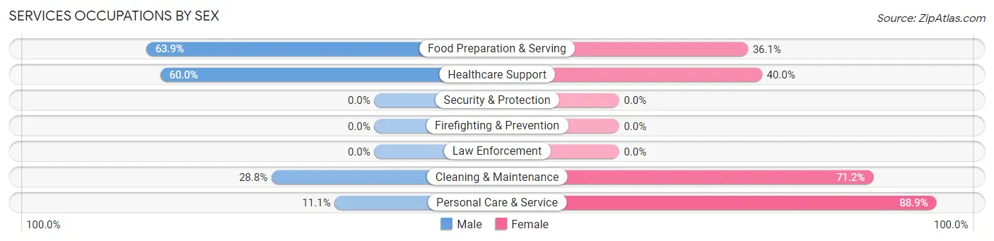 Services Occupations by Sex in Zip Code 56563