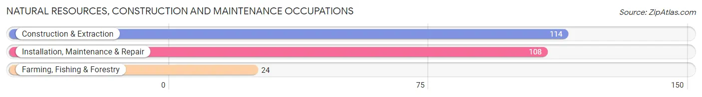 Natural Resources, Construction and Maintenance Occupations in Zip Code 56567