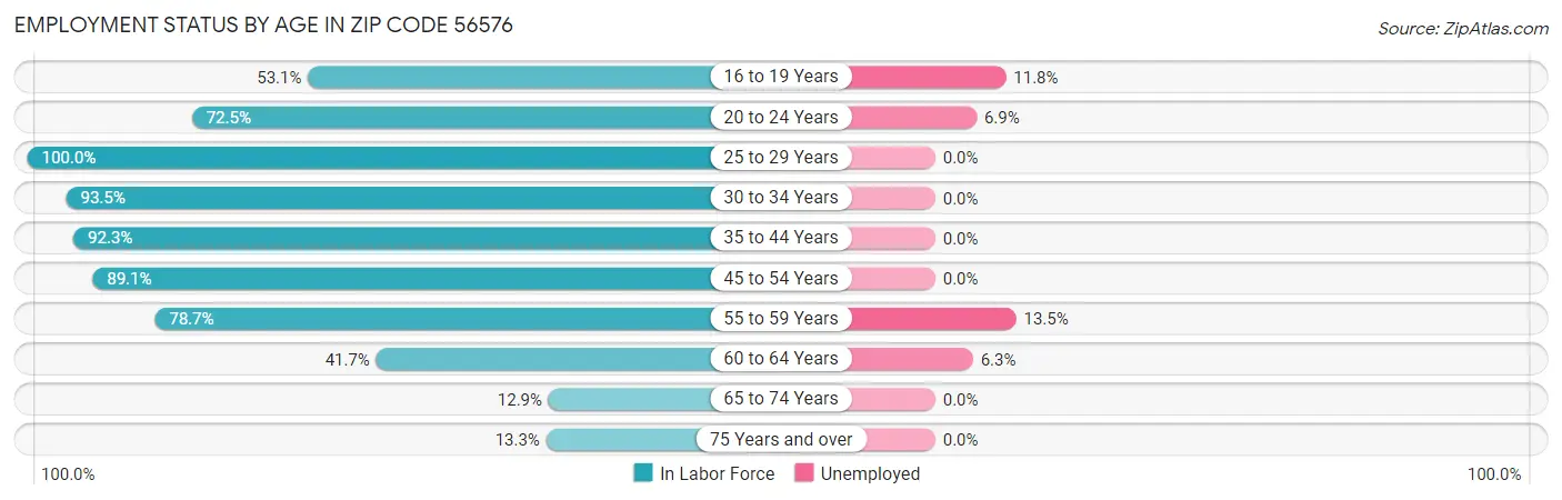 Employment Status by Age in Zip Code 56576