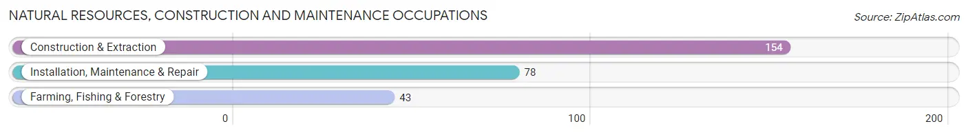 Natural Resources, Construction and Maintenance Occupations in Zip Code 56636