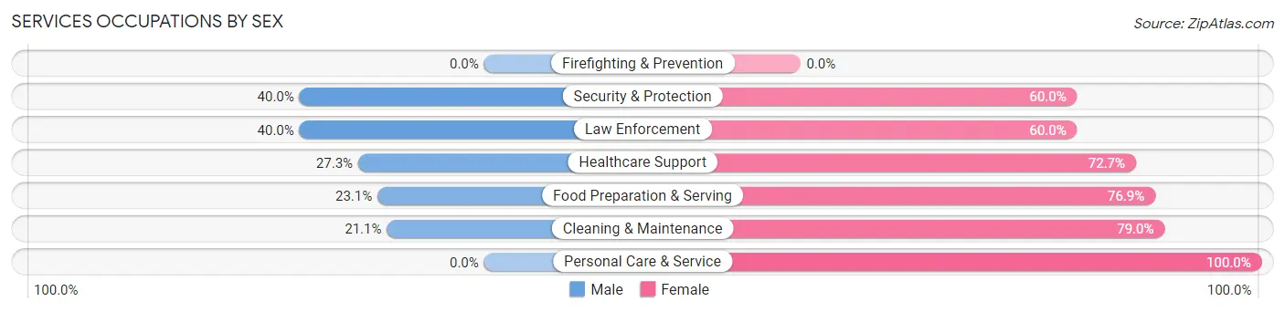 Services Occupations by Sex in Zip Code 56738