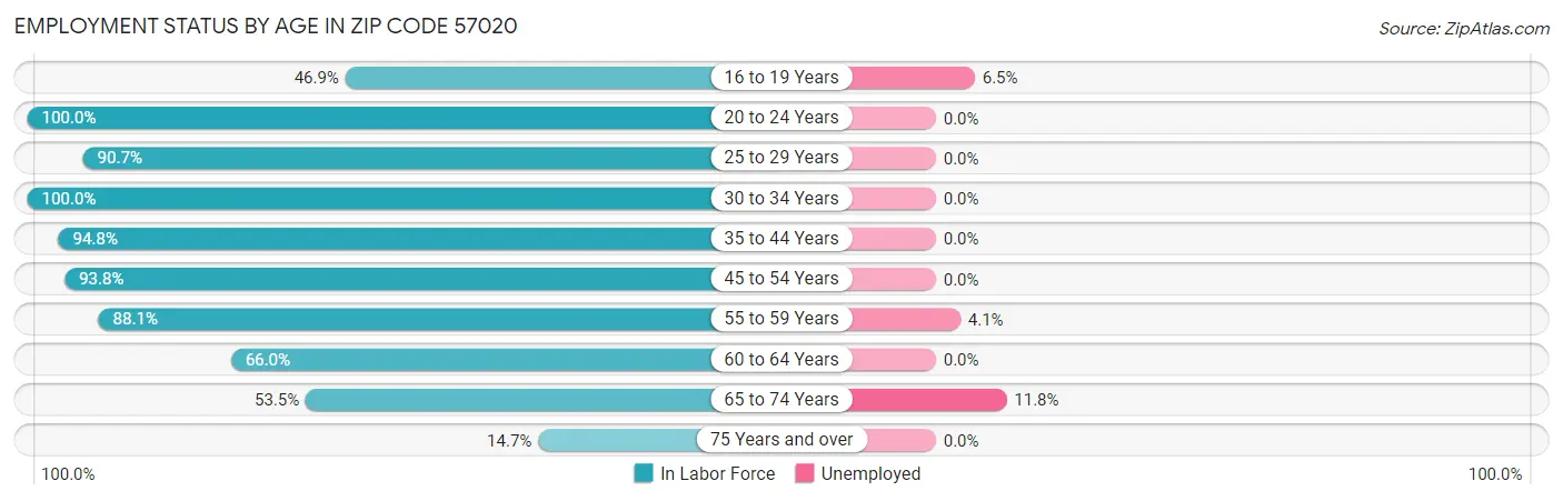 Employment Status by Age in Zip Code 57020