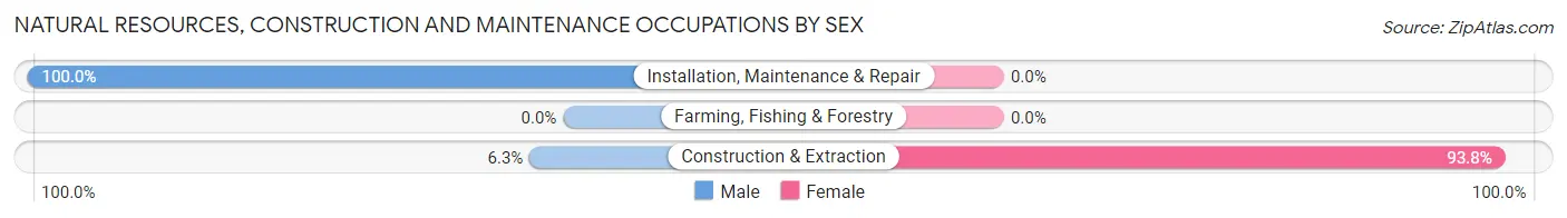 Natural Resources, Construction and Maintenance Occupations by Sex in Zip Code 57021