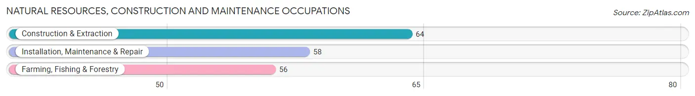 Natural Resources, Construction and Maintenance Occupations in Zip Code 57029