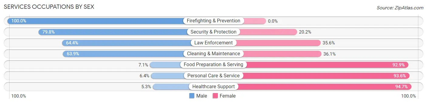 Services Occupations by Sex in Zip Code 57032