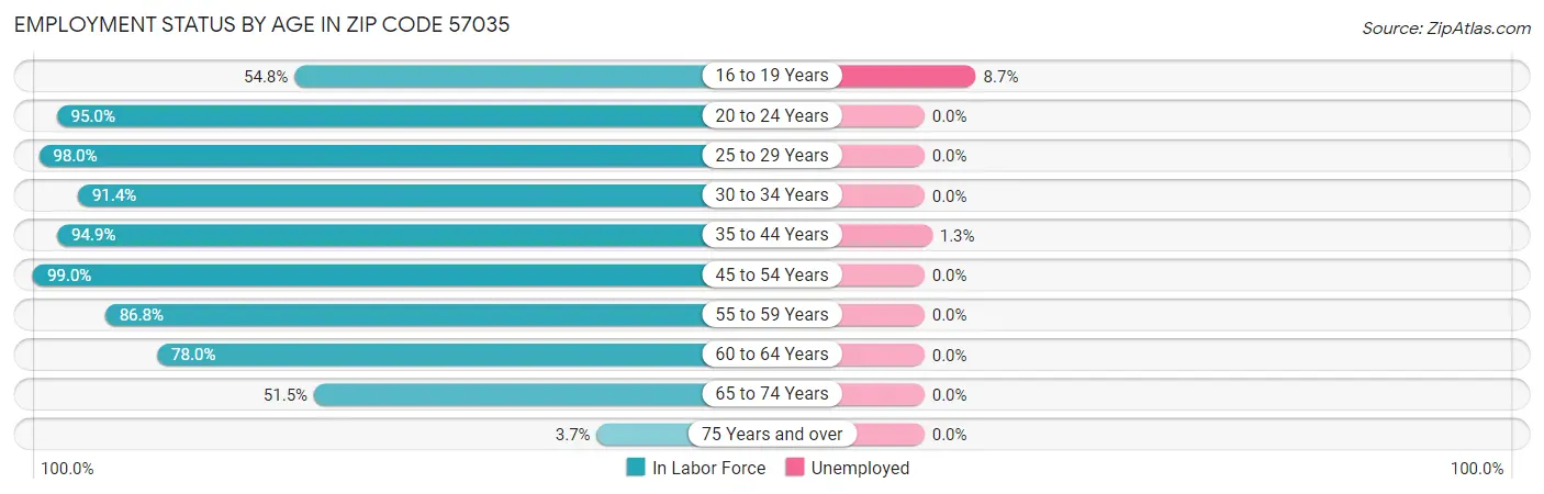 Employment Status by Age in Zip Code 57035