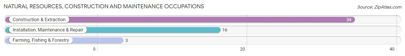 Natural Resources, Construction and Maintenance Occupations in Zip Code 57036