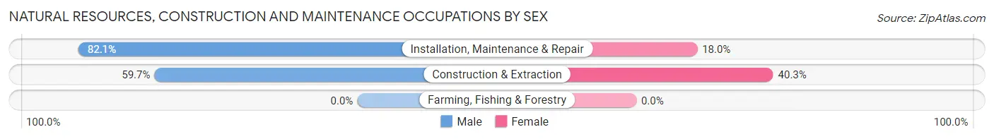 Natural Resources, Construction and Maintenance Occupations by Sex in Zip Code 57046