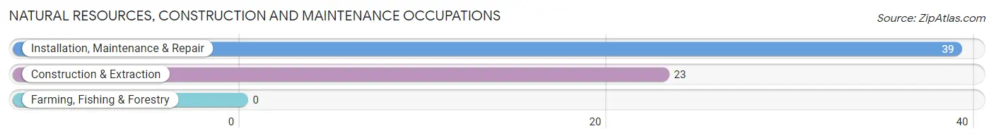 Natural Resources, Construction and Maintenance Occupations in Zip Code 57055