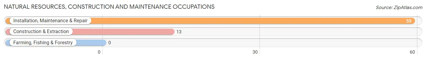 Natural Resources, Construction and Maintenance Occupations in Zip Code 57066