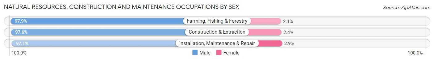 Natural Resources, Construction and Maintenance Occupations by Sex in Zip Code 57069