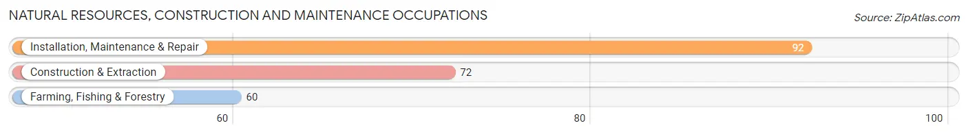 Natural Resources, Construction and Maintenance Occupations in Zip Code 57071