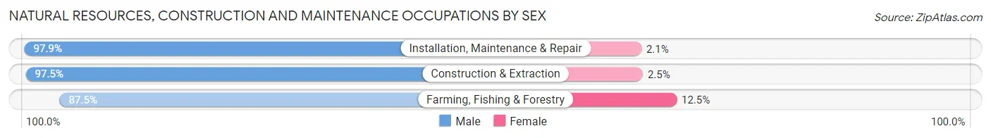 Natural Resources, Construction and Maintenance Occupations by Sex in Zip Code 57105