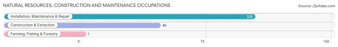 Natural Resources, Construction and Maintenance Occupations in Zip Code 57216