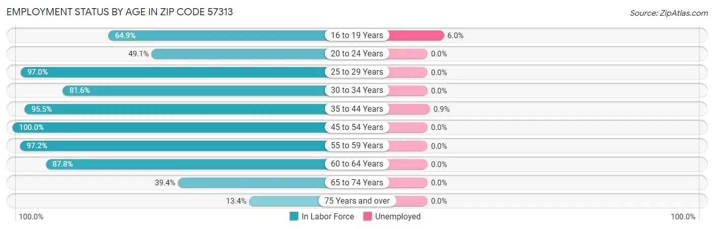 Employment Status by Age in Zip Code 57313