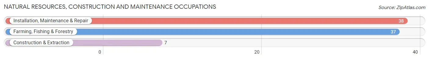 Natural Resources, Construction and Maintenance Occupations in Zip Code 57313