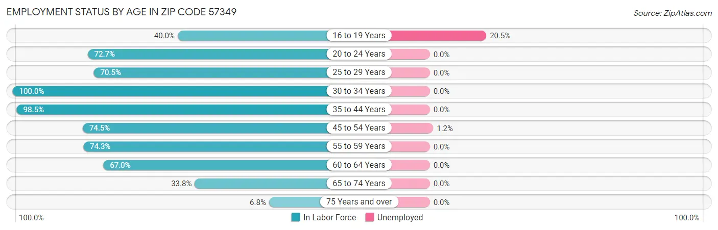 Employment Status by Age in Zip Code 57349