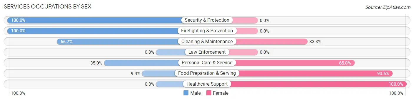 Services Occupations by Sex in Zip Code 57383
