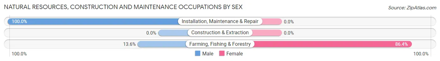 Natural Resources, Construction and Maintenance Occupations by Sex in Zip Code 57424