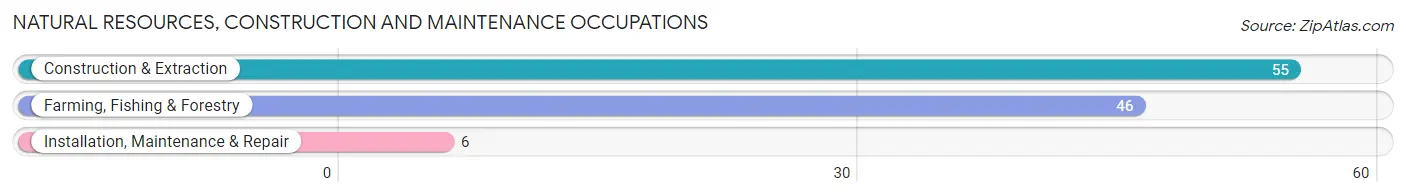 Natural Resources, Construction and Maintenance Occupations in Zip Code 57438