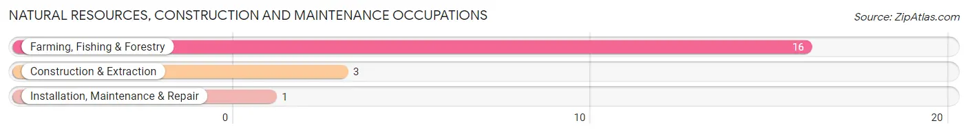 Natural Resources, Construction and Maintenance Occupations in Zip Code 57465