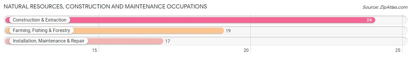 Natural Resources, Construction and Maintenance Occupations in Zip Code 57528