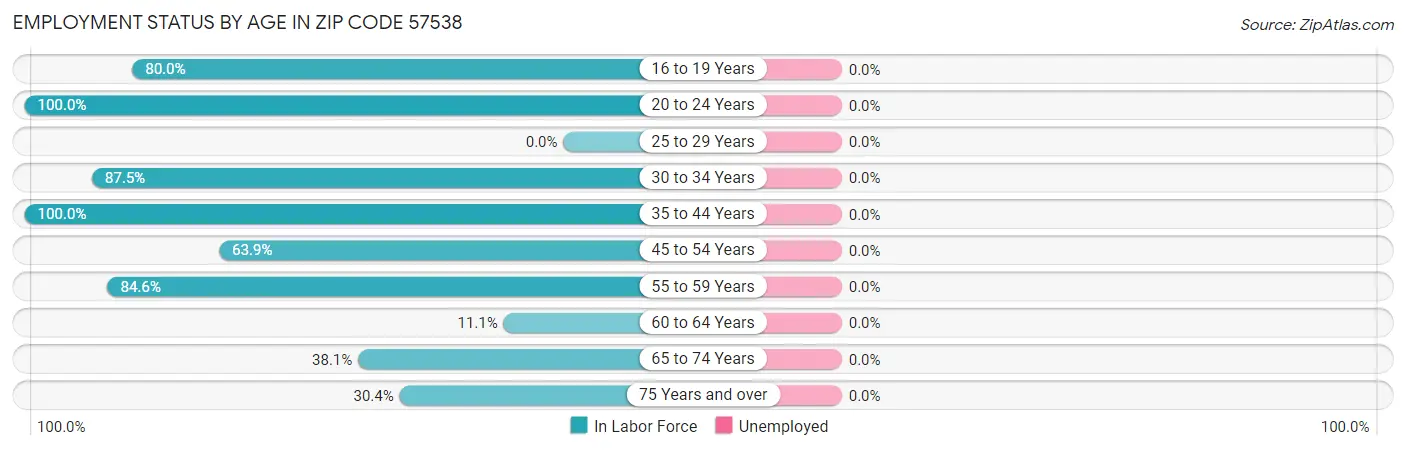 Employment Status by Age in Zip Code 57538