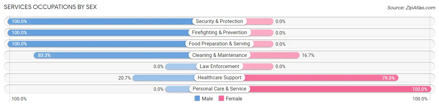 Services Occupations by Sex in Zip Code 57551