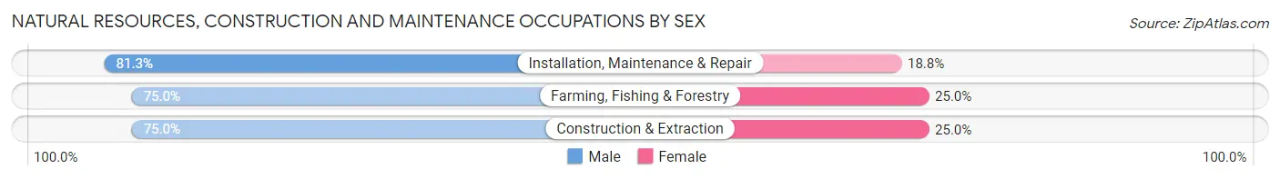 Natural Resources, Construction and Maintenance Occupations by Sex in Zip Code 57620