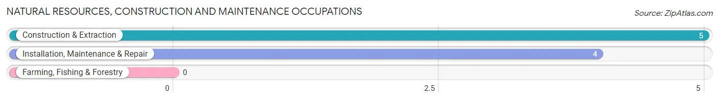 Natural Resources, Construction and Maintenance Occupations in Zip Code 57636