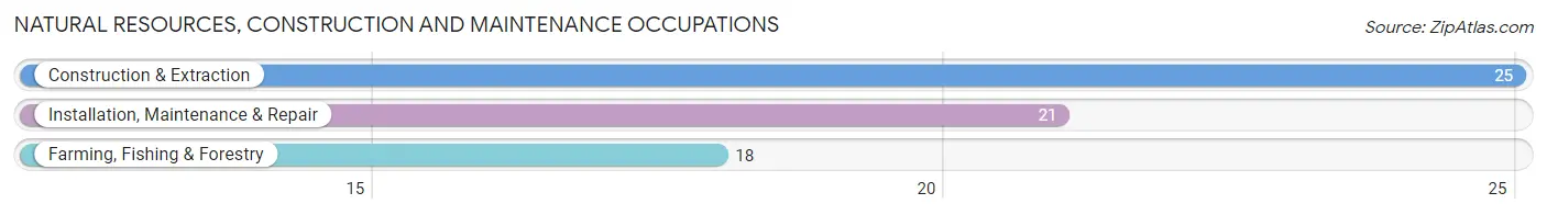 Natural Resources, Construction and Maintenance Occupations in Zip Code 57656