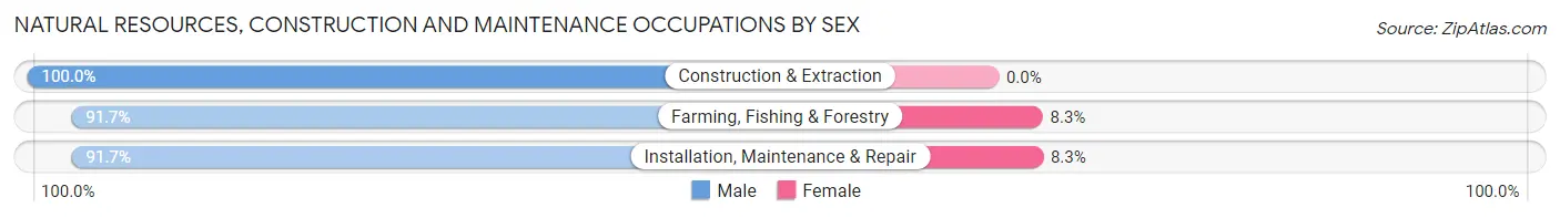 Natural Resources, Construction and Maintenance Occupations by Sex in Zip Code 57717