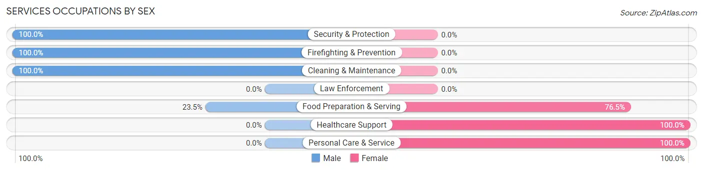 Services Occupations by Sex in Zip Code 57720