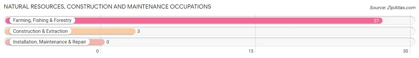 Natural Resources, Construction and Maintenance Occupations in Zip Code 57724