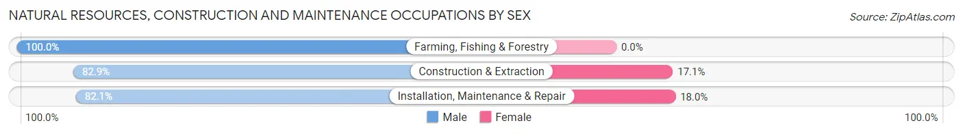 Natural Resources, Construction and Maintenance Occupations by Sex in Zip Code 57761