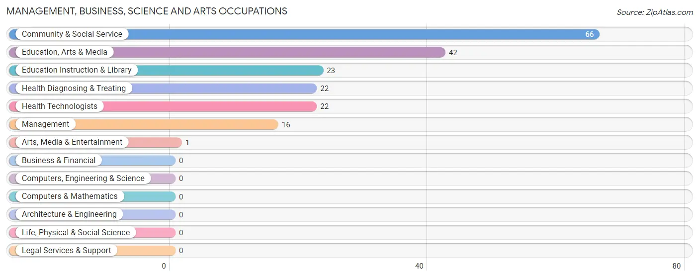 Management, Business, Science and Arts Occupations in Zip Code 58016