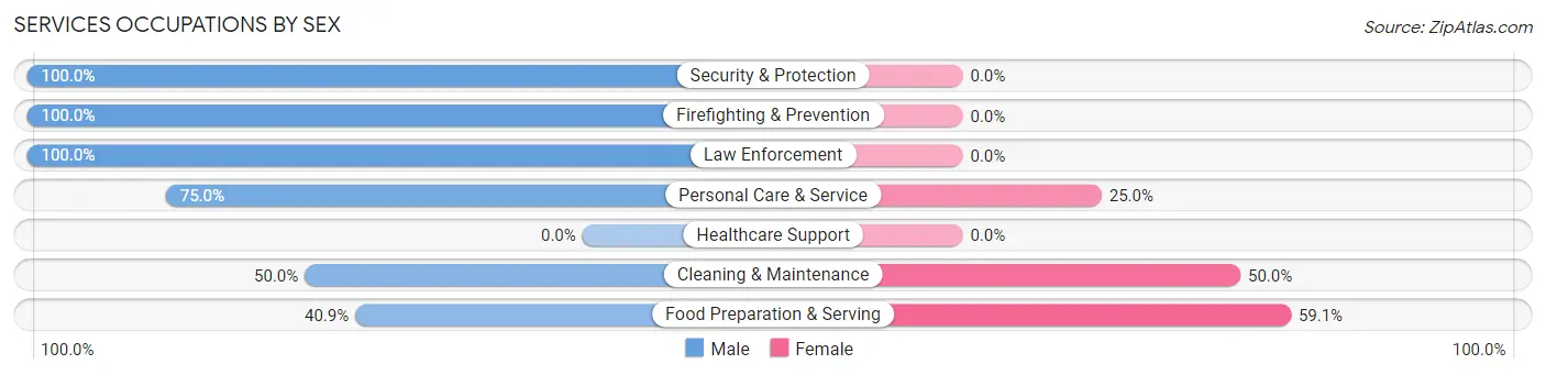 Services Occupations by Sex in Zip Code 58042