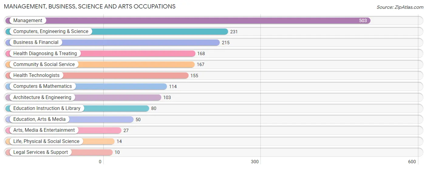 Management, Business, Science and Arts Occupations in Zip Code 58047