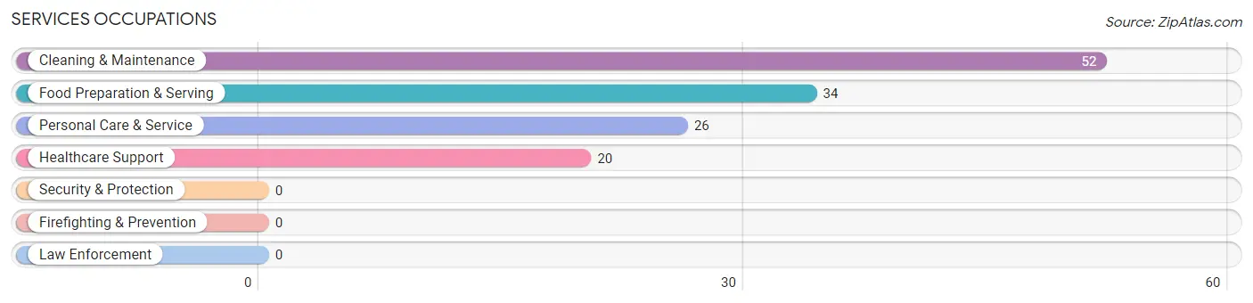 Services Occupations in Zip Code 58053