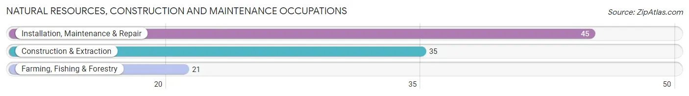 Natural Resources, Construction and Maintenance Occupations in Zip Code 58270