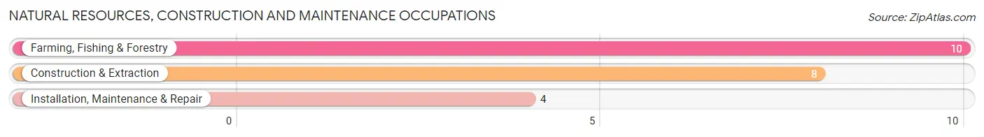 Natural Resources, Construction and Maintenance Occupations in Zip Code 58330