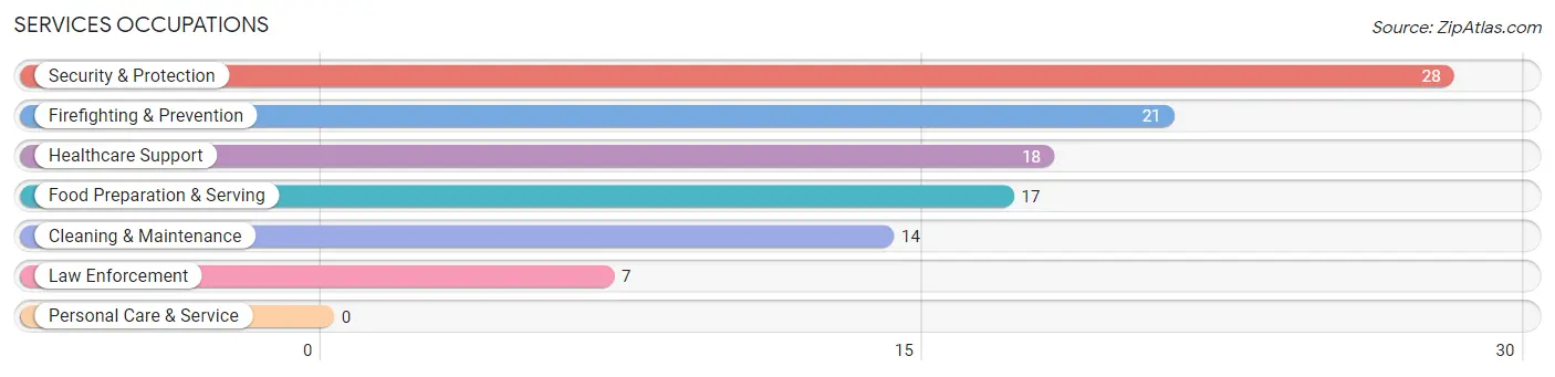 Services Occupations in Zip Code 58335